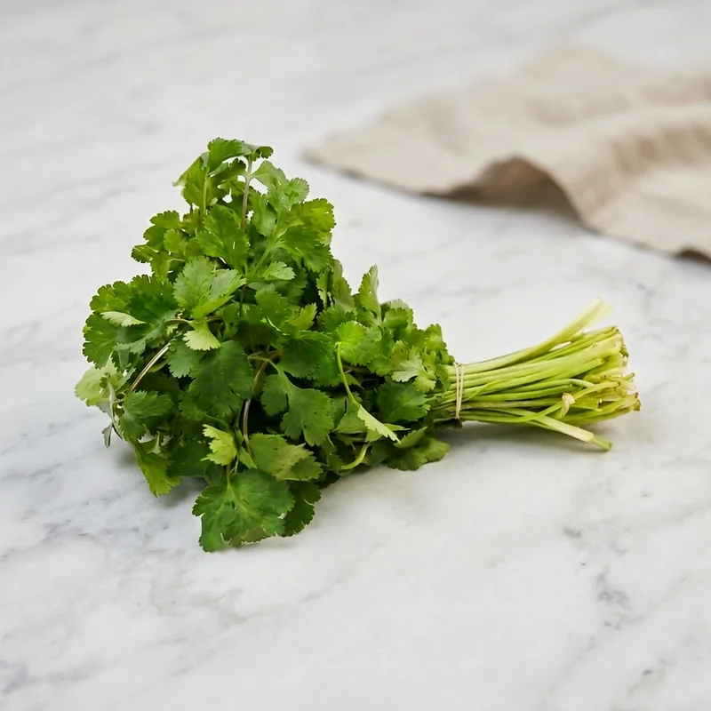 CORIANDOLO FRESCO SPAGNA