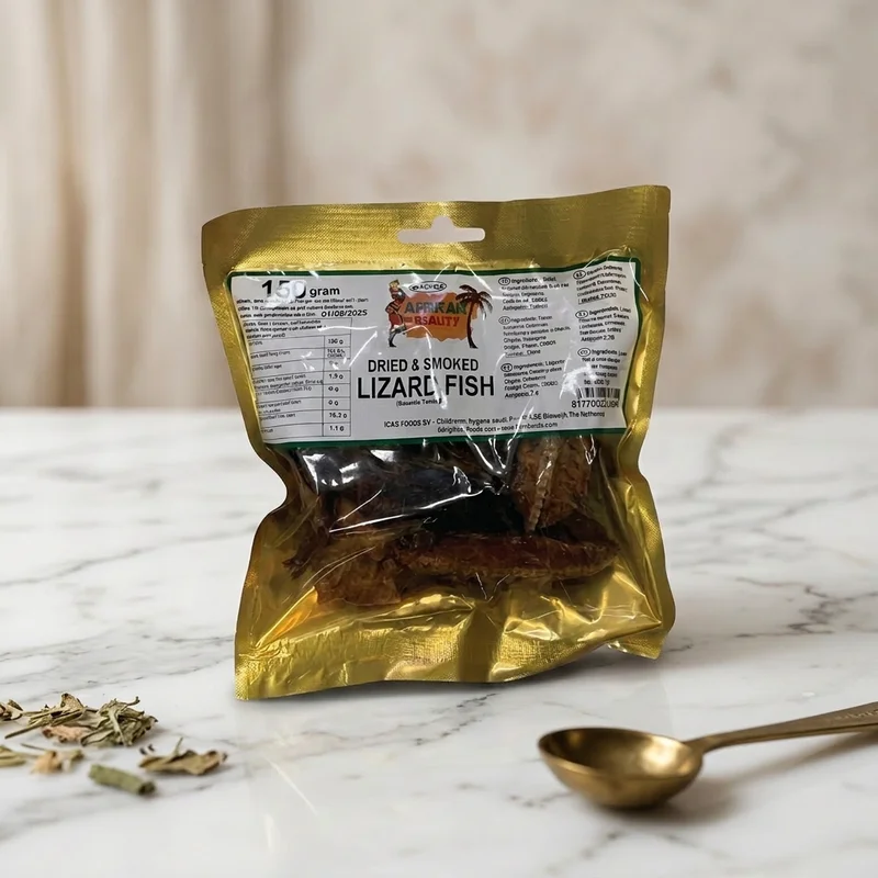 AFRICAN BEAUTY LIZZARD FISH (BRUSHTOOTH)